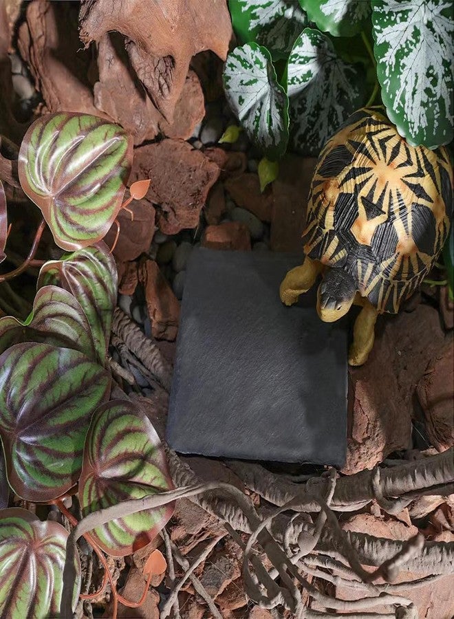 HALONTIN Reptile Basking Platform Rock Tortoise Habitat Accessories Slate Rocks for Reptiles Food Dish Feeding Bowl for Crested Gecko Snake Frog Lizard - Image 3